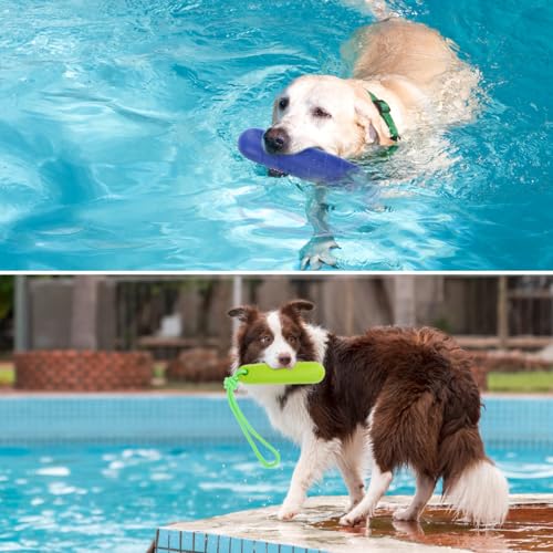 PUPTECK Interactive Dog Pool Toys Water Floating Toys Fetch Training Bumpers 2 Pack, Blue & Green - color: Blue & Green