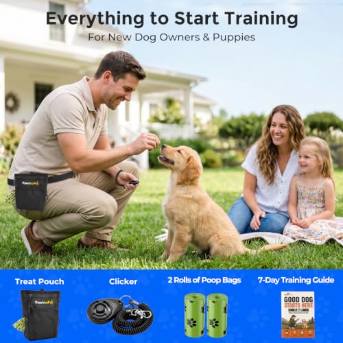 Dog Treat Pouch for Pet Training, One-Hand Magnetic Closure, Hands-Free Treat Bag with Silicone Liner, No Mess No Smell - color: Obsidian Black