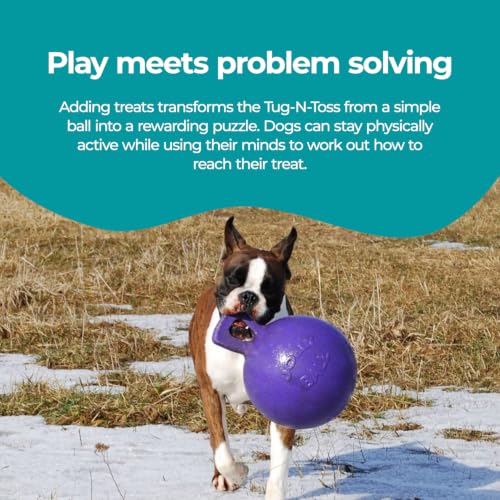 Jolly Pets Tug-n-Toss Heavy Duty Dog Toy Ball with Handle, 8 Inches/Large, Purple - color: Purple, size: Large (8 in)