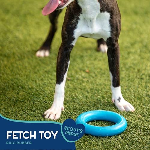 Good Scout Rubber Ring for Tugging & Chewing, Best Fetch Toy for Aggressive Chewers, No Stuffing Toy for Medium & Large Dogs - style: Rubber Ring