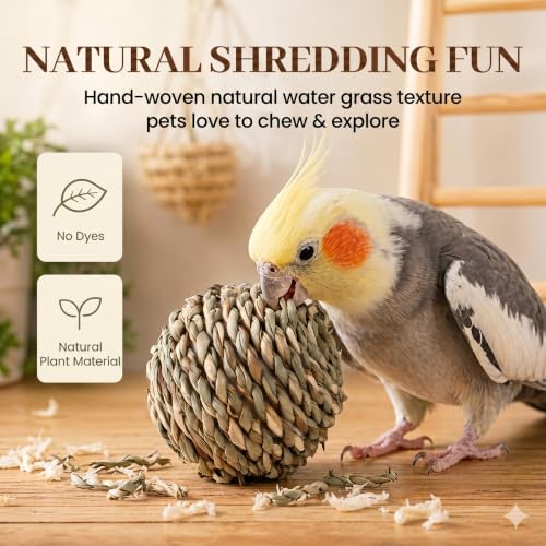 Natural Woven Grass Balls Small Pet Chew Toys, Handmade Wooden Bird Parrot Hamster Rabbit Foraging Balls, Safe Shred Toys for Parakeet Cockatiel Guinea Pig Chinchilla, Regular Water Grass Ball - style: Contemporary