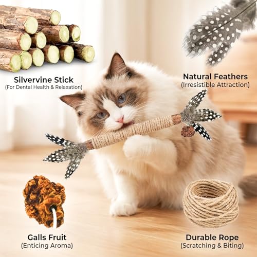 Cat Chew Toys Silvervine Sticks Dental Treat Feather 7Pack Indoor - size: Pro-7 Pack