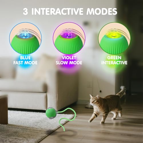 Rocfish Durable Interactive Cat Toys for Indoor Cats (Green, 01) - color: green01, size: 01