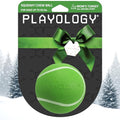 Playology Squeaky Chew Ball Dog Toy - Medium, Turkey Scent - size: Medium, style: Mom's Turkey