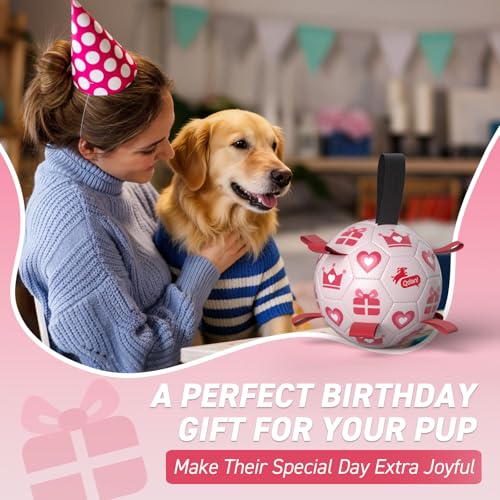QDAN Valentines Gift Dog Toys, 8 Inch Dog Soccer Ball with Straps, Pink - color: Pink, size: Large Size 3 (8 Inch)