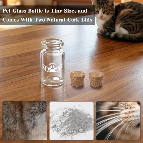 SOITIS Small Pet Urn for Dogs Cats Urns Tiny Glass Urn for Pet Urn Keepsake - color: White Paw