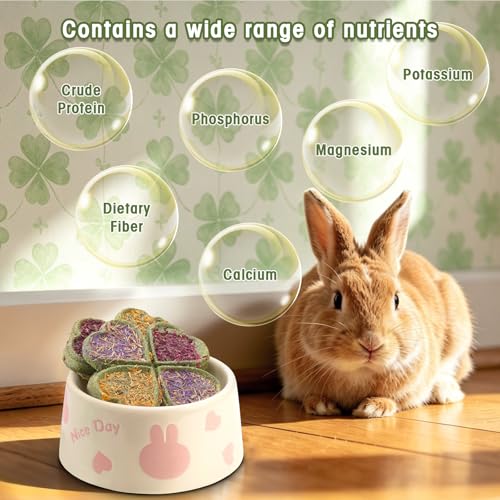 Abizoo Rabbit Chew Toys, Natural Four-Leaf Clover Herbal Edible Treats