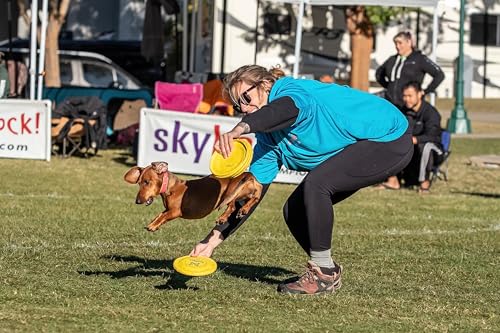 Hyperflite Pup SofFlite Soft Dog Flying Disc, 2 Pack, Small Dogs