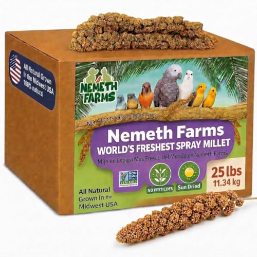 Nemeth Farms Spray Millet for Birds - Natural Non-GMO Millet Treat for Parakeets, Cockatiels & Parrots - 25 lb - size: 25 Pound (Pack of 1)