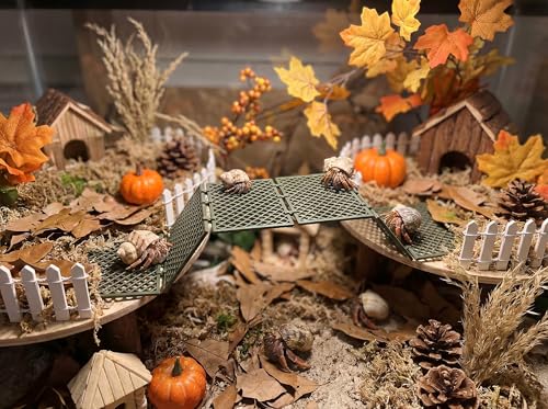 Hermit Crab Climbing Platform, Foldable Habitat Ladder - color: Military green