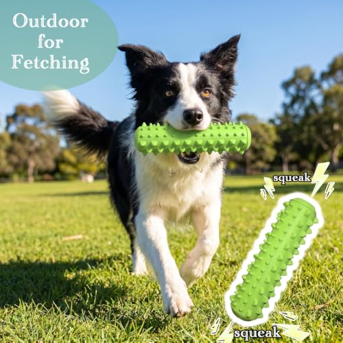Interactive Multi-Functional Squeaky Dog Toy Set, Tough Rubber Teething Toy