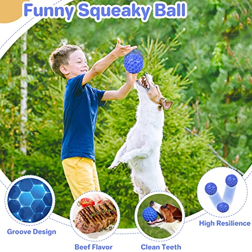 DISSKNIC Indestructible Squeaky Dog Ball, Relieves Anxiety, Cleans Teeth, Interactive Chew Toy for Aggressive Chewers, Dog Toy for Large Breeds, Outdoor Waterproof - color: Blue, size: Large