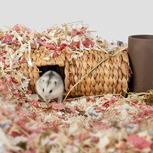 Niteangel Creative & Composable Hamster Tunnel: Edible Water Hyacinth & DIY - size: SHLD