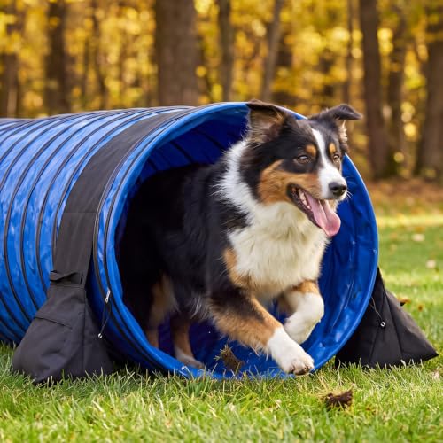 Briwooody 24 in x 16 ft PVC Dog Agility Tunnel with Sandbags Blue - color: Blue, size: 24in X 16ft