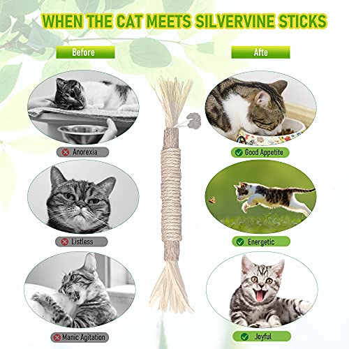 Silvervine Sticks Cat Chew Toys for Indoor Cats Dental Care Teeth Cleaning, Natural Kitten & Cat Teething Toys for Health, Cat Chew Stick Treat Edible Suitable for All Breeds of Aggressive Chewers Cat - size: 1PCS