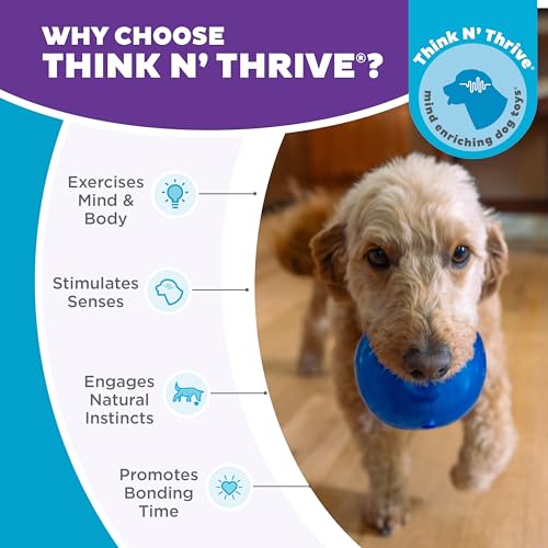 Outward Hound Lil' Snoop Interactive Treat Dispensing Dog Toy, Blue, 3.9" - color: Blue Lil Snoop