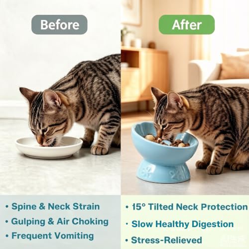 Ceramic Slow Feeder Cat Bowl, Elevated Tilted Design, Blue - color: blue