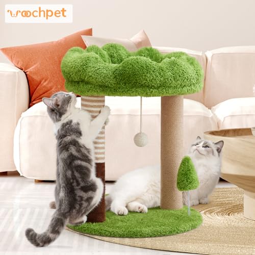 WOOCHPET 21" Small Cat Tree with 2 Scratching Posts and Perch Bed - color: Green-2