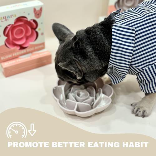 Hanara Sillicone Slow Feeder Dog Bowls & Lick Mat with Suction Bottom | Rose Petals Design | Promotes Better Digestion, Prevent Choking | Dish Washer Safe | Great Size for All Breed (Misty Gray) - color: Misty Gray