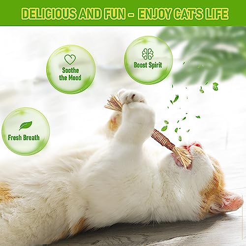 BAWAN Silvervine Sticks Cat Chew Toys for Indoor Cats Dental Care Teeth Cleaning, Natural Kitten & Cat Teething Toys for Health, Cat Chew Stick Suitable for All Breeds of Aggressive Chewers Cat - size: 5PCS