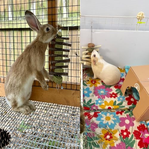 kathson Rabbit Chew Toys,Bunny Grind Teeth 100% Natural Organic Apple Wood Stick Improve Rodent Health Rabbits Hamsters Squirrel Guinea Pig(4 Pieces) - color: 【Style C】