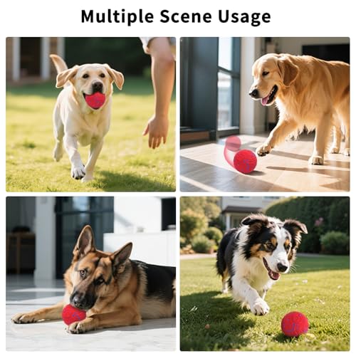 SCHITEC Interactive Dog Toy Ball, Automatic Moving & Bouncing Ball (Red) - color: Red