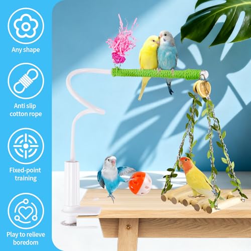 Bird Perch with Swing, Movable Desktop Stand with Clamp