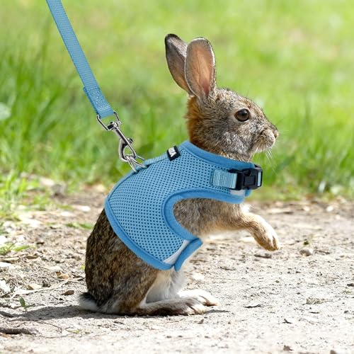 AIITLE Breathable Escape Proof Rabbit Harness and Leash Set, Blue L - color: Blue, size: L