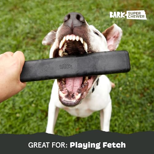 BarkBox Throwbar Super Chewer - Toy for Medium to Large Dogs - color: Throwbar-Medium to Large