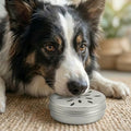 Dog Scent Training Kit, 5PCS Professional Nosework Tins with Lid, Vented Odor Search Boxesfor Work Dogs Training