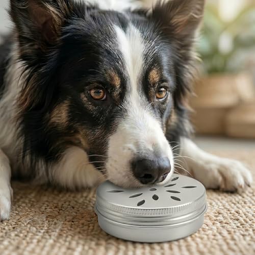 Dog Scent Training Kit, 5PCS Professional Nosework Tins with Lid, Vented Odor Search Boxesfor Work Dogs Training