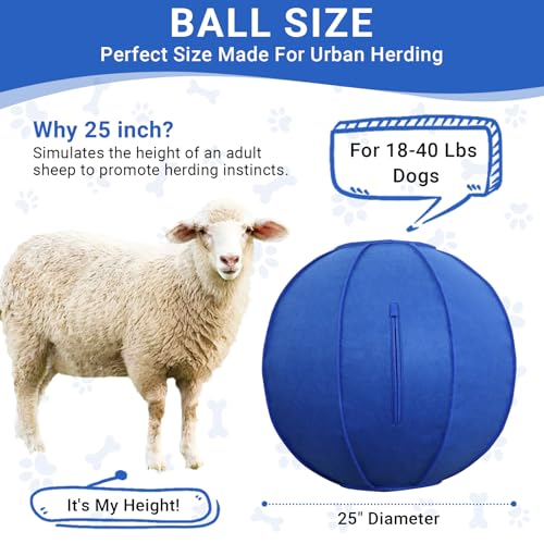 Dog Toy Ball for Dogs, Interactive Dog Training Toy for Medium Large Breeds Outdoor Play, Collies Exercise Agility (Blue,L)