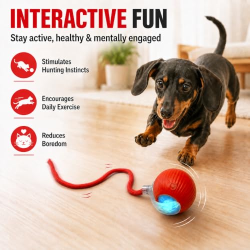 Interactive Automatic Rolling Electronic Stimulation Chase Ball Cat Dog Toy - color: Red