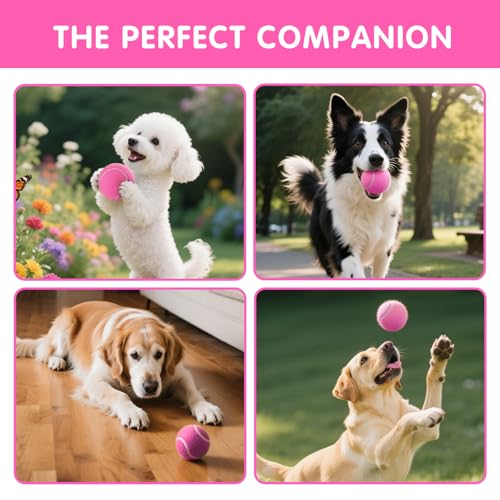 PHOEPET 6-Pack Tennis Balls for Beginner Training Practice- Bulk Dog Balls - color: Pink-6 Pack, size: Medium 2.5"- 6 Pack