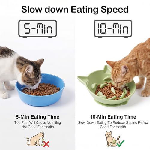 2 Pack Elevated Slow Feeder Cat Bowl for Dry and Wet Food, Silicone Cat Slow Feeder, Tilted Design with Non Slip Base for Digestion Anti Vomit, Adjustable Angle (Green, Blue)