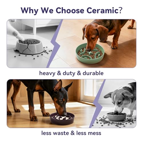Ceramic Slow Feeder Dog Bowl, 1.8 Cups Anti -Slip Slow Feeding Bowl to Slow Down Eating, 8.2 Inch Dog Food Dish for Medium to Large Breeds, Green - color: Green, size: Medium without Stand