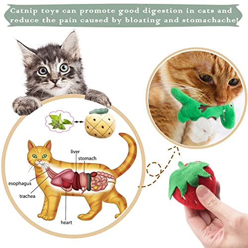 Mini Cat Catnip Toys for Indoor Cats 10 Pack