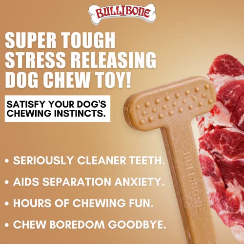 Bullibone Nylon Dog Chew Toy for Aggressive Chewers - Dental Hygiene Bone with Beef Flavor, Durable Tough Chew Toys for Large Dogs, Indestructible Dog Bone - 3 Pack - size: Large - 3 Pack