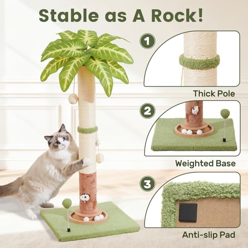 Cat Scratching Post for Indoor Large Kitten Scratch, 35" Tall