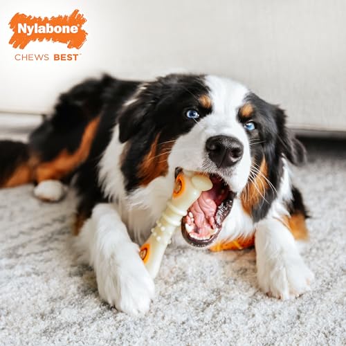 Nylabone Power Chew Knuckle Bone & Pop-in Dog Treat Toy & 30 Treat Refills - size: Large
