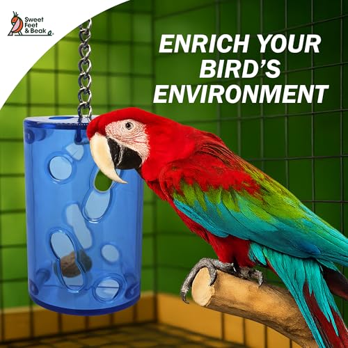 Sweet Feet and Beak Can-O-Nuts Cockatiel Foraging Toy, Large - size: Large