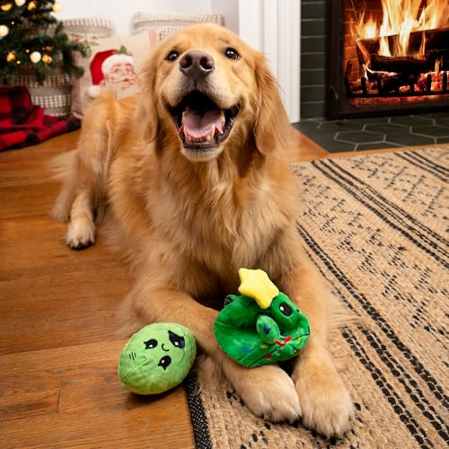 BarkBox Consuela the Christmas Cactus 2-in-1 Interactive Plush Dog Toy - color: Consuela the Christmas Cactus