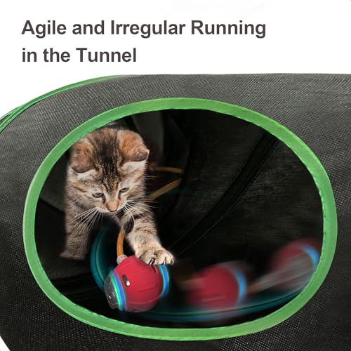 Interactive Cat Toy, Motion-Activated Ball in Enrichment Tunnel