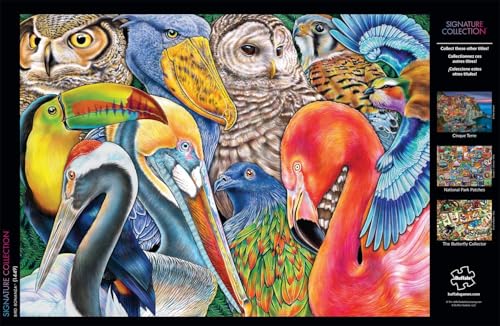 Buffalo Games - Bird Bonanza - 1000 Piece Jigsaw Puzzle for Adults