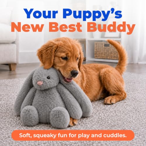 Best Pet Supplies Bunny Buddy Squeaky Plush Dog Toy - Gray - color: Bunny (Gray), size: Large
