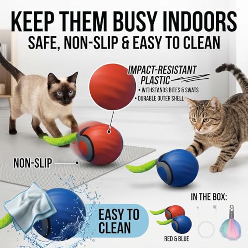 Teazys Cat Toy Turbo Tail 3.0,Interactive Cat Toy Ball, Automatic Cat Toy with Tail, Electric Rolling Ball on Carpet, Cat Enrichment Toys for Small/Medium/Large Cats to Keep Them Busy (Blue) - color: Blue