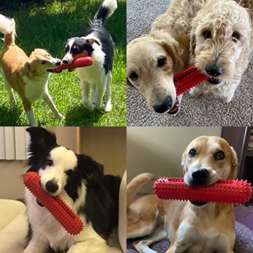 petizer Dog Squeaky Toy for Aggressive Chewers, Tough Toothbrush Dental Dog Chew Toy, Durable Rubber Toy for Pet Training, Dog Teeth Cleaning, Playing and Chewing for Medium & Large Breeds