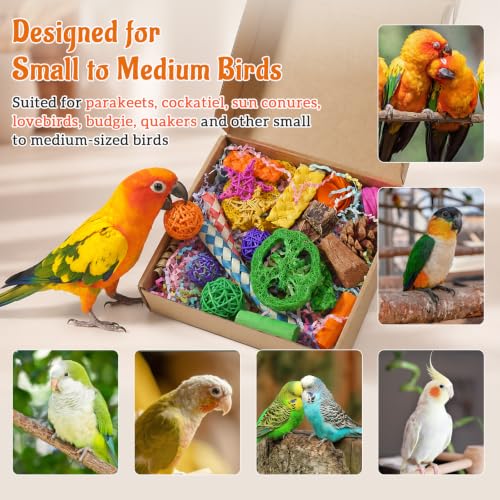 Bird Foraging Toys Box,26pcs Colorful Shredding & Chewing Toys