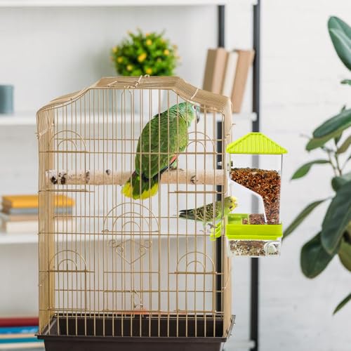 Rypet No-Mess Automatic Bird Feeder for Cage, Parrot Cage Accessories - color: Transparent A80 Green