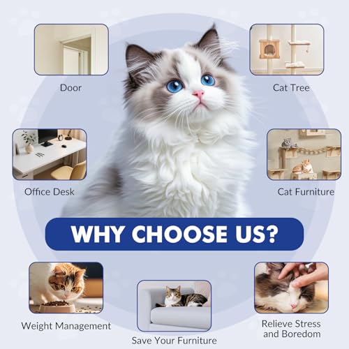 Wortade Automatic Hanging Cat Toy, Electric cat Teaser, Dark Blue - color: Dark bule
